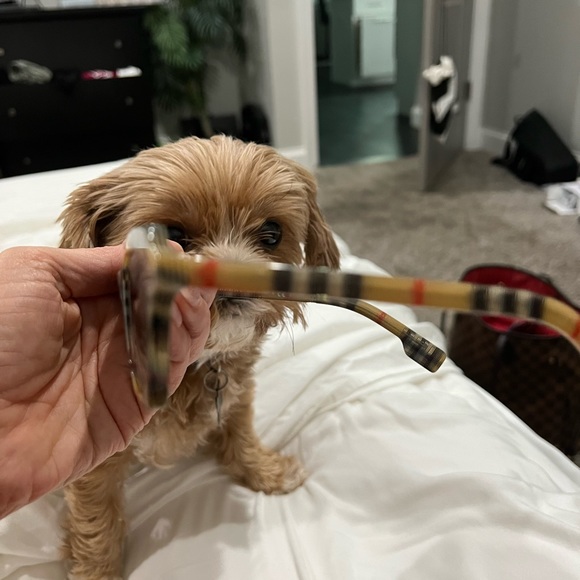 Burberry sunglasses - Picture 2 of 4